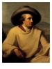 goethe_22.jpg